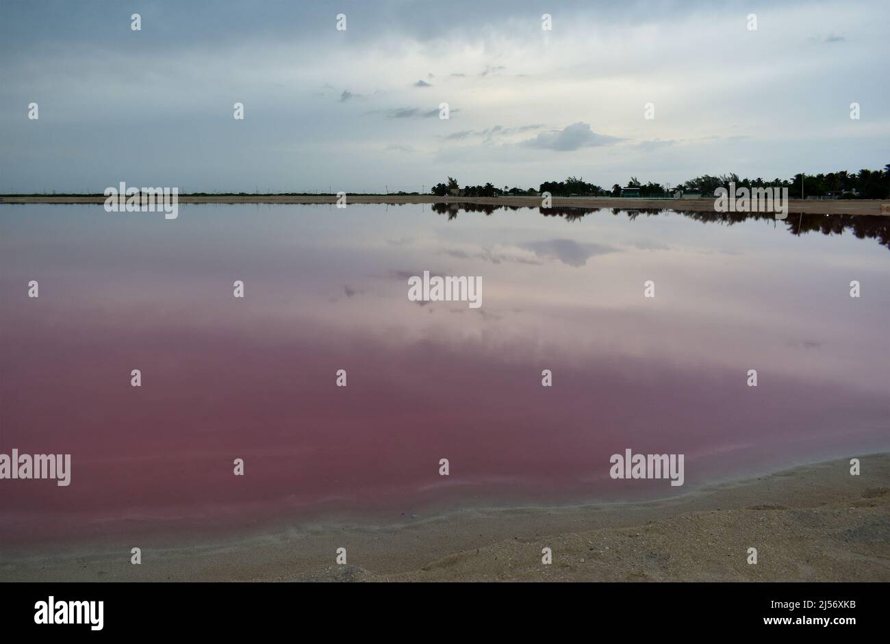 Pink lagoon with sunset, Las Coloradas, Yucatan, Mexico. Stock Photo