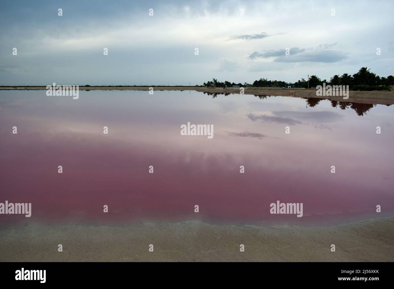 Pink lagoon with sunset, Las Coloradas, Yucatan, Mexico. Stock Photo