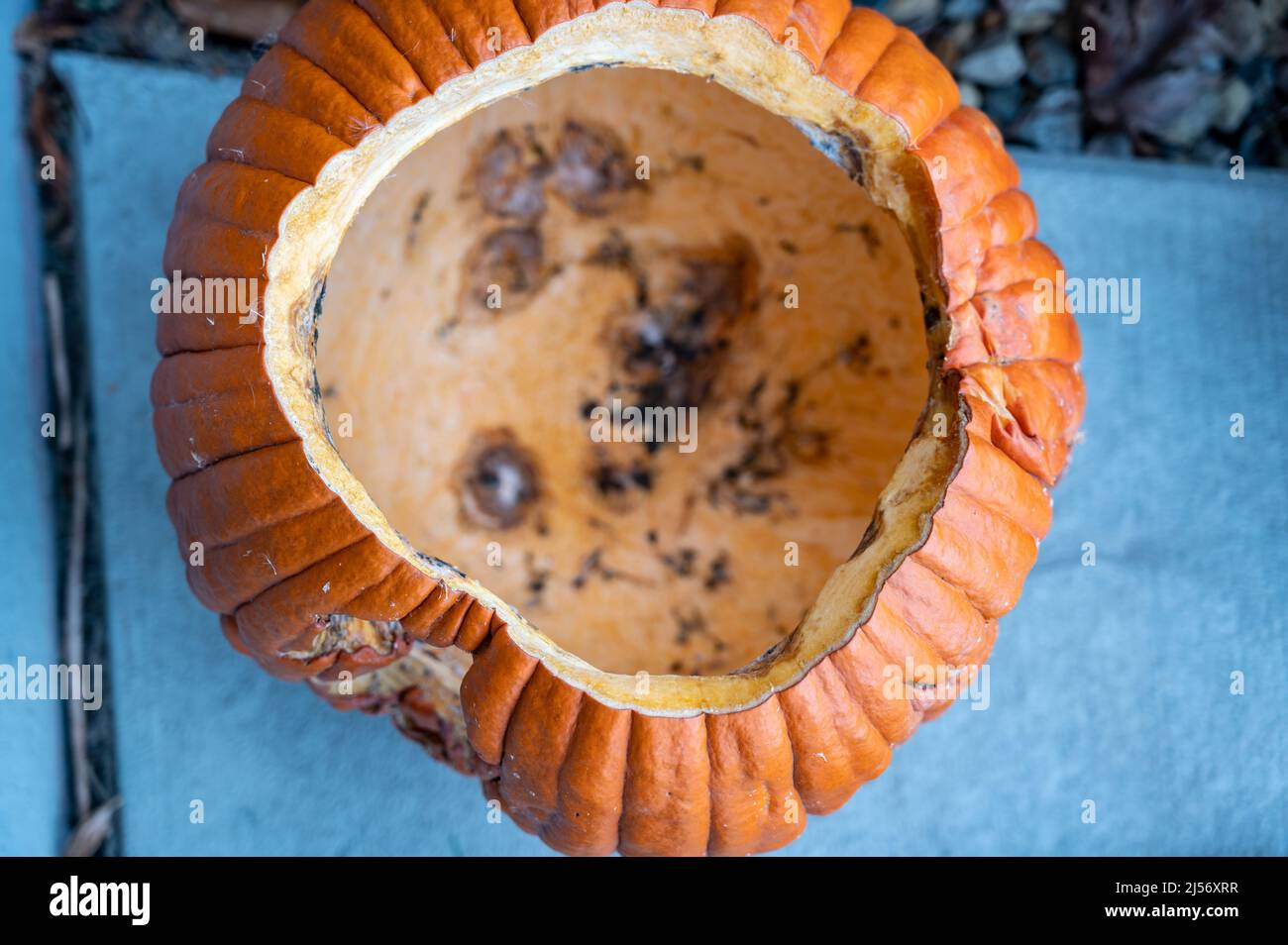 Pumpkin carving insides guts hi-res stock photography and images - Alamy