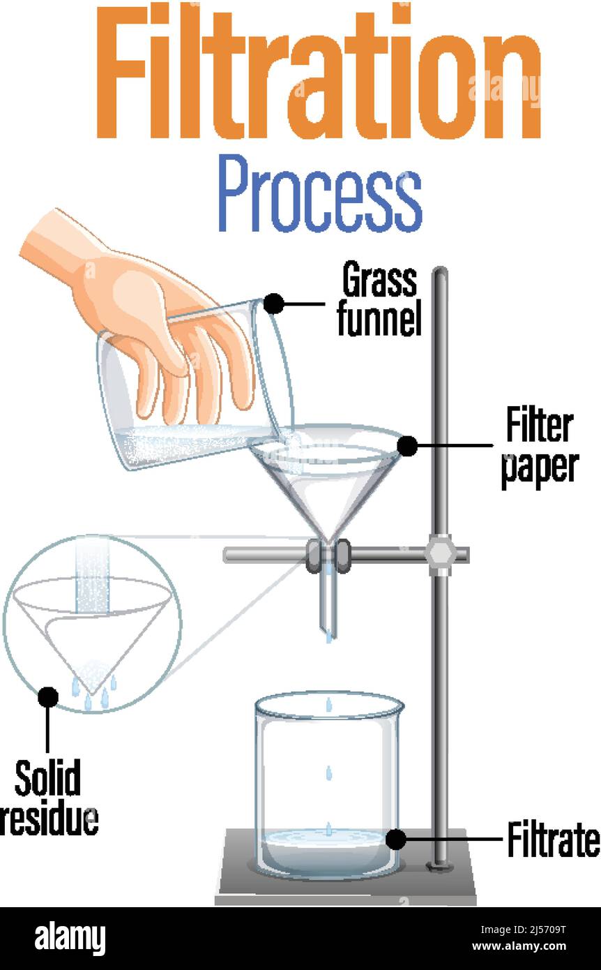 Diagram showing filtration process illustration Stock Vector Image