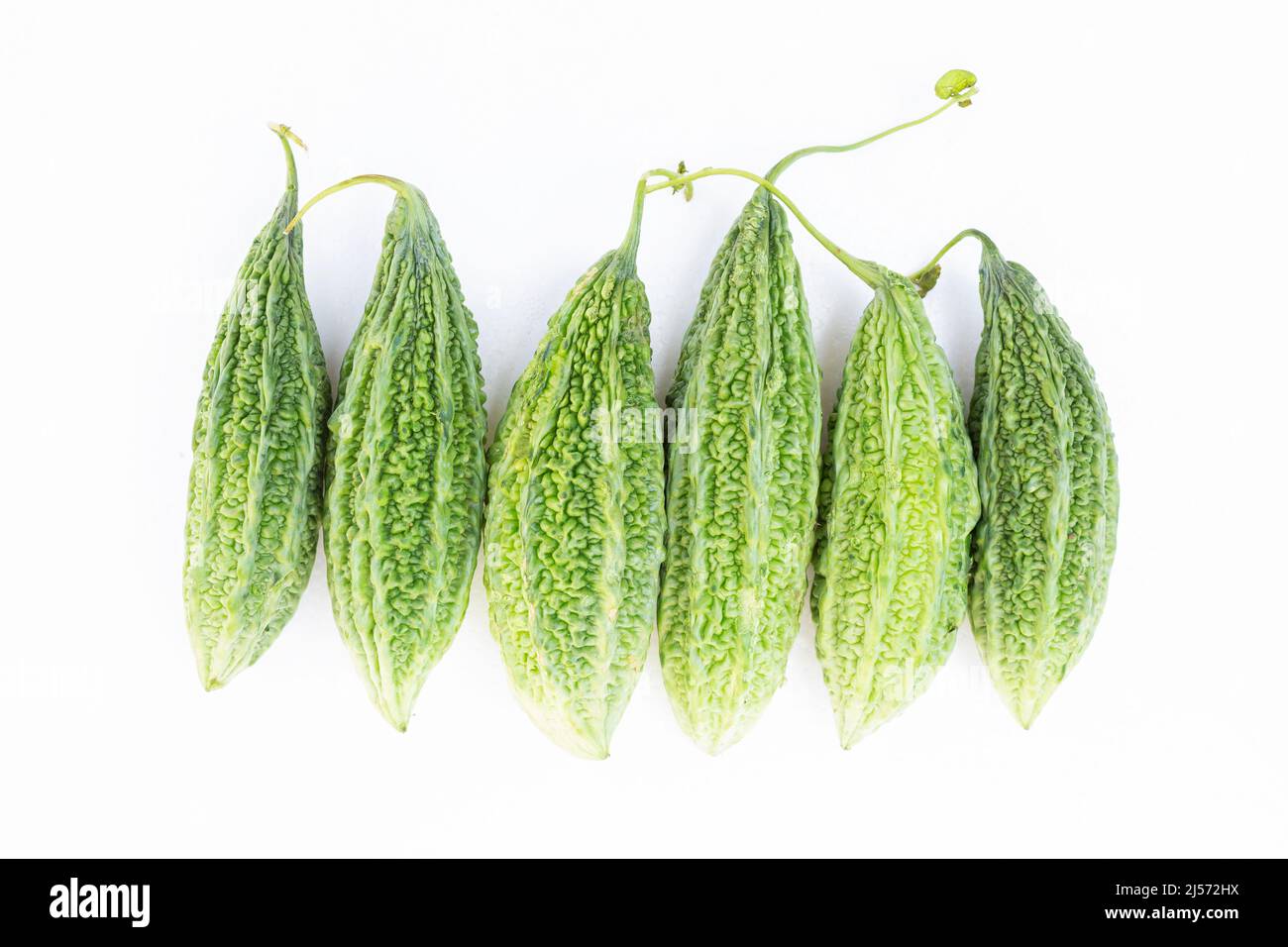 group of fresh bitter gourd on white background. Stock Photo