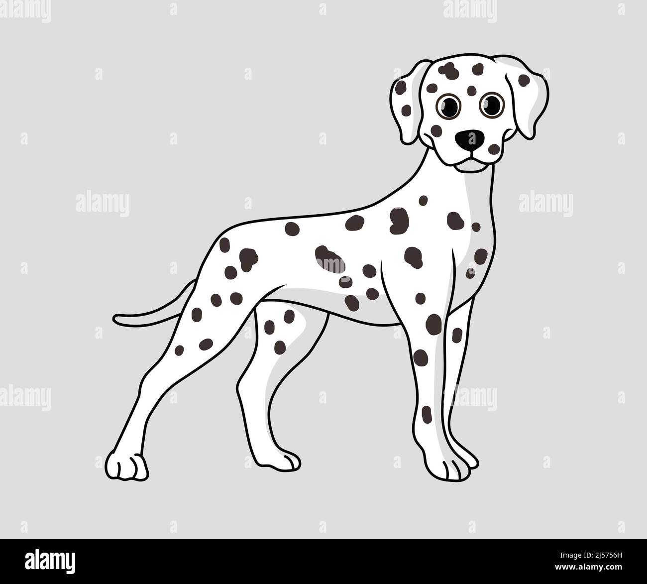 Dalmatian dog illustration vector Stock Vector