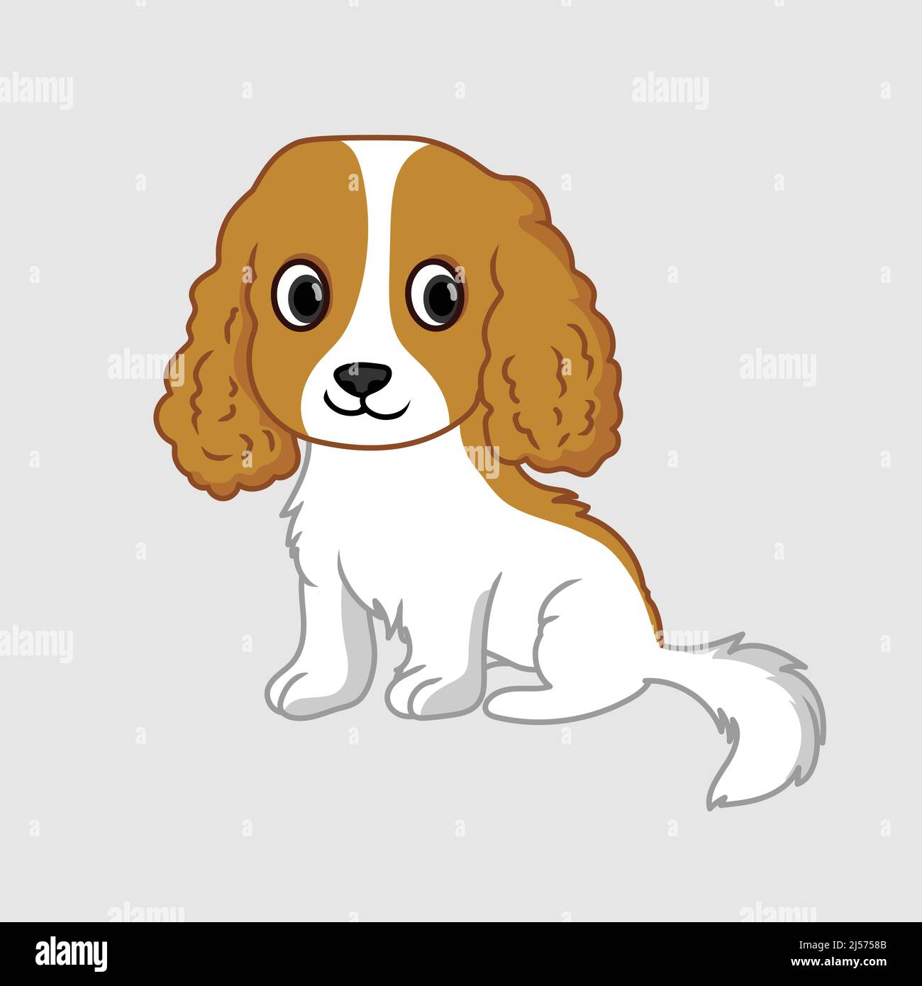 Spaniel vector Stock Photos and Images