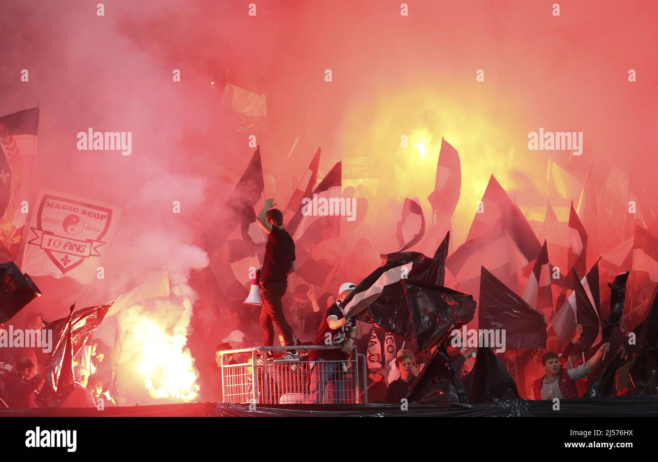 Angers, France - April 20, 2022, Supporters of Angers SCO during the French championship Ligue 1 football match between SCO Angers and Paris Saint-Germain on April 20, 2022 at Raymond Kopa stadium in Angers, France - Photo: Jean Catuffe/DPPI/LiveMedia Stock Photo