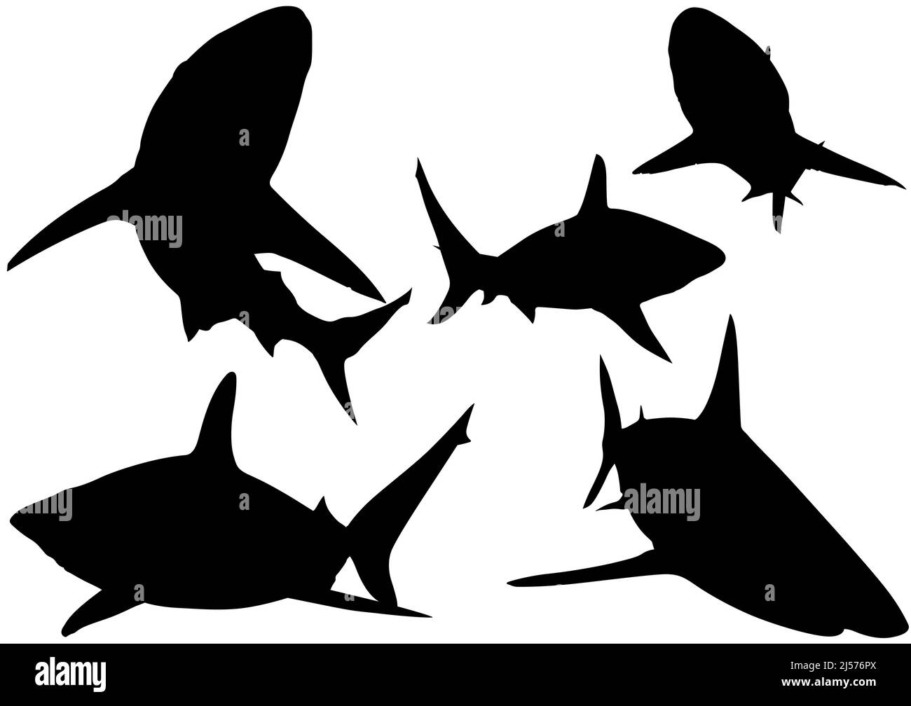 Set of Five Blacktip Reef Shark Silhouettes Stock Vector