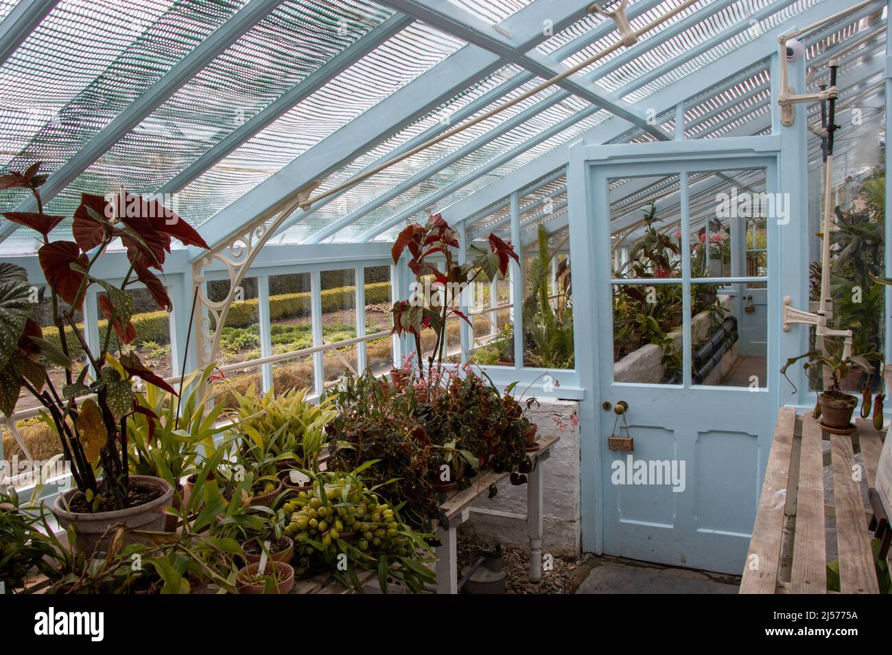 Charles Darwin's greenhouse at Down House. Inside view. Stock Photo