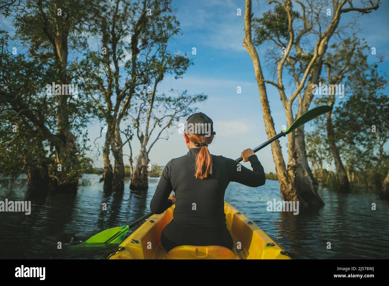 woman sailing sea kayak in mangrove forest Stock Photo