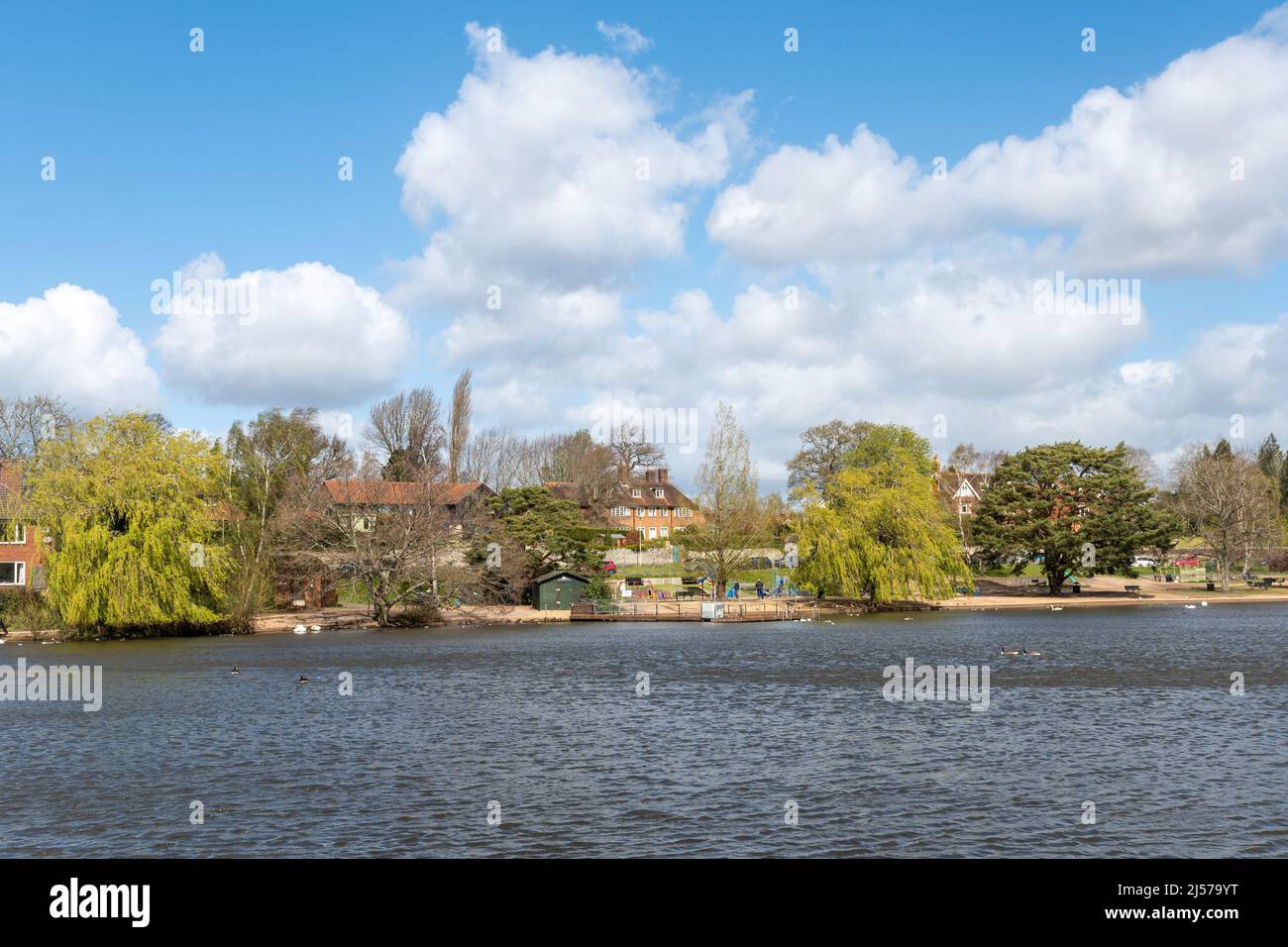 View of Petersfield Heath Pond in Spring, a beauty spot in Hampshire, England, UK Stock Photo