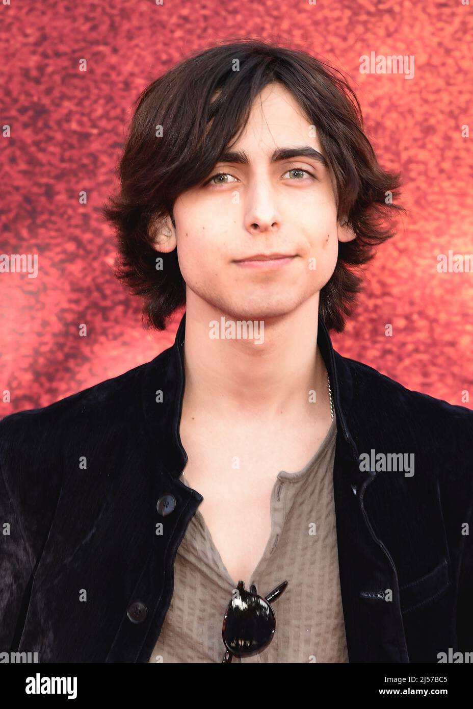 Aidan Scott Movies And Tv Shows Los Angeles, USA. 20th Apr, 2022. Aidan Gallagher walking on the red carpet at the Los Angeles Premiere of Season One of Paramount Series "The Offer" at the Paramount Pictures Studios in