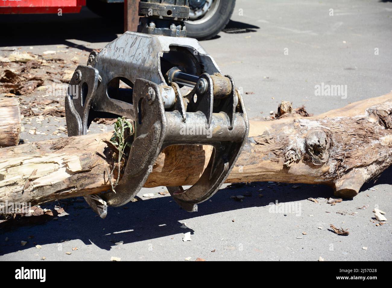 Remove falling tree after hard storm from asphalt road. Harvester truck