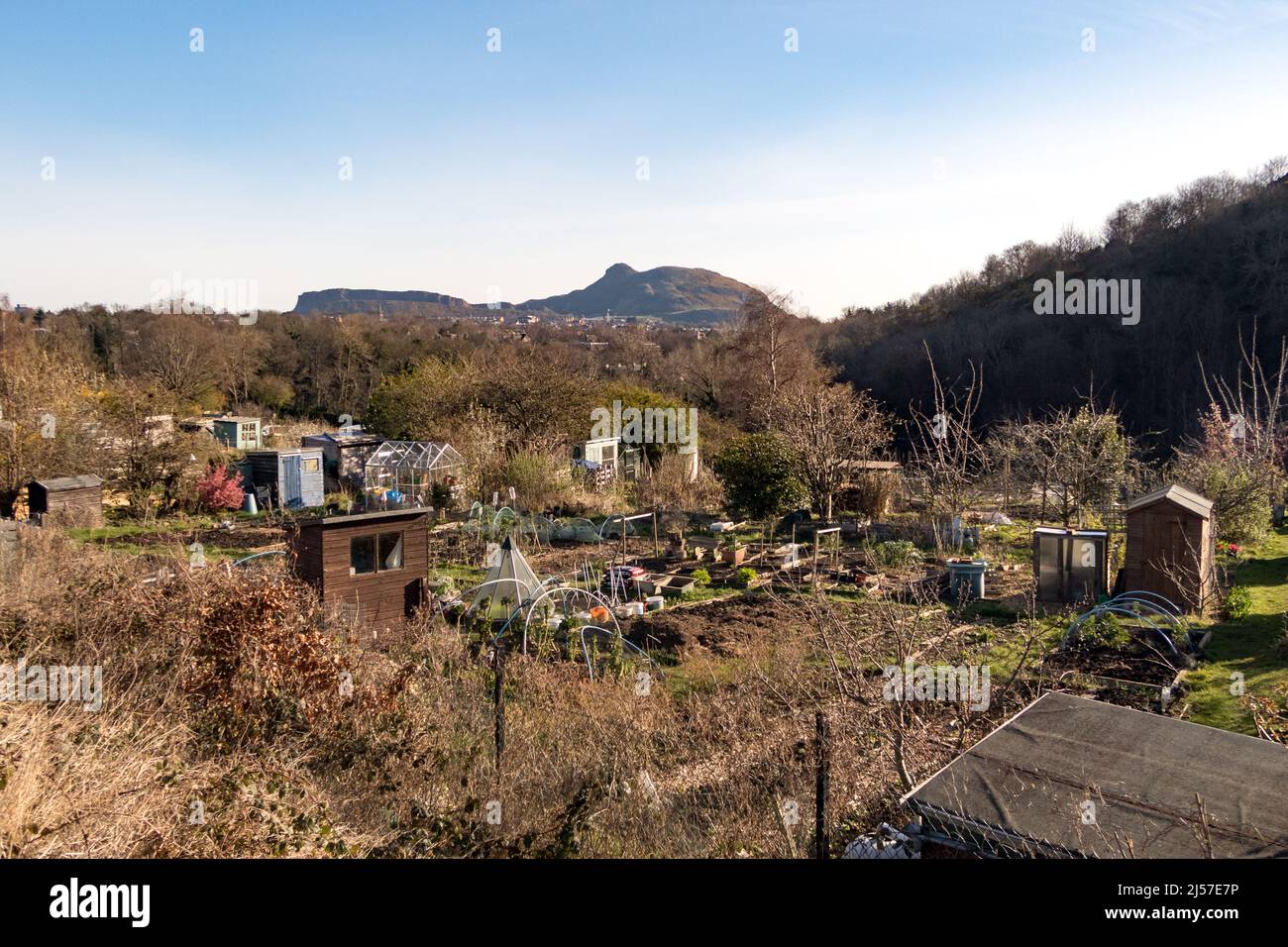 A view of allotment gardens in the Morninside area of Edinburgh with Arthur's Seat in the background Stock Photo