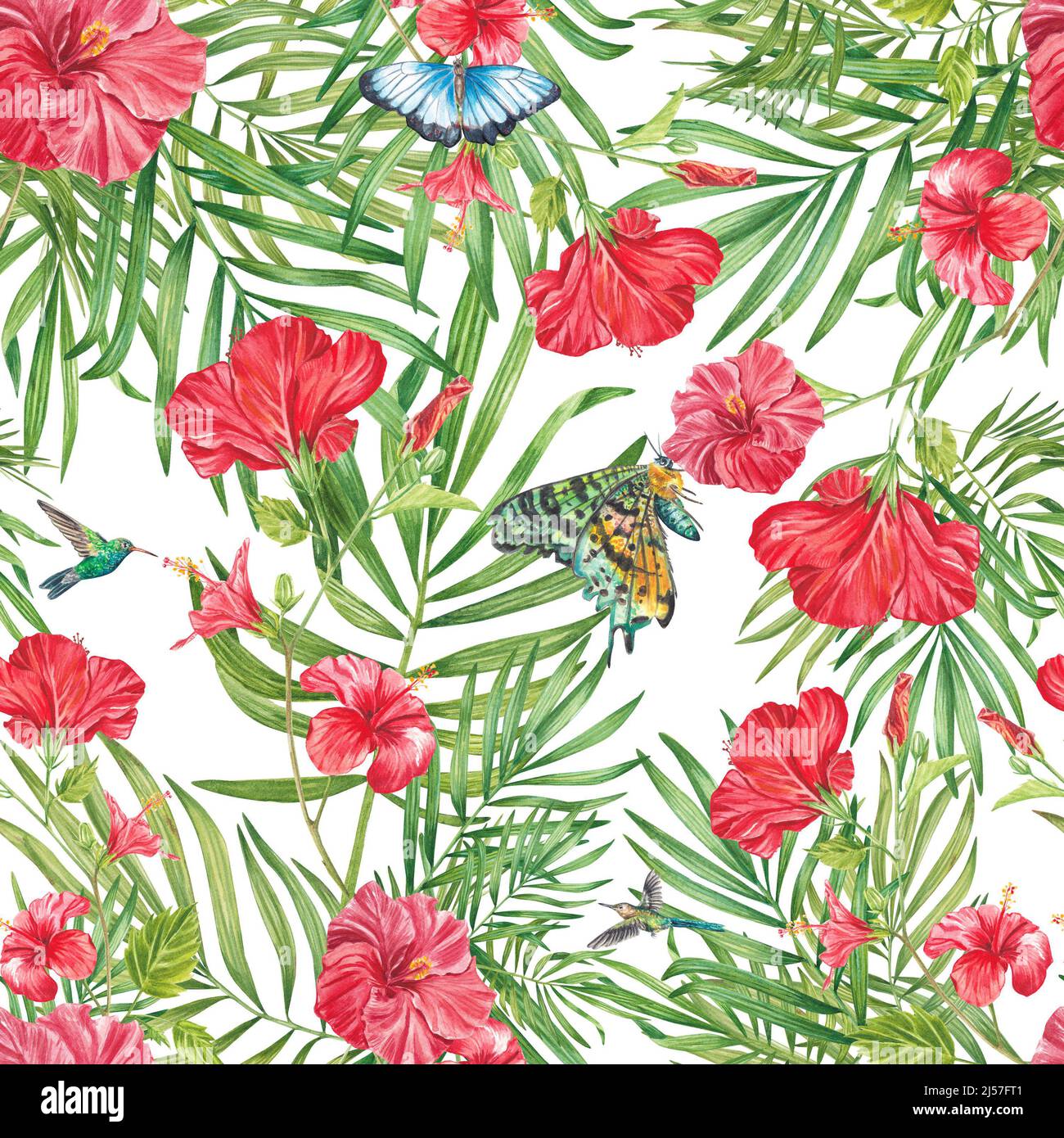 Tropical seamless pattern with hibiscus, leaves, butterflies and hummingbirds. Watercolor summer print. Exotic floral illustration is suitable for clo Stock Photo