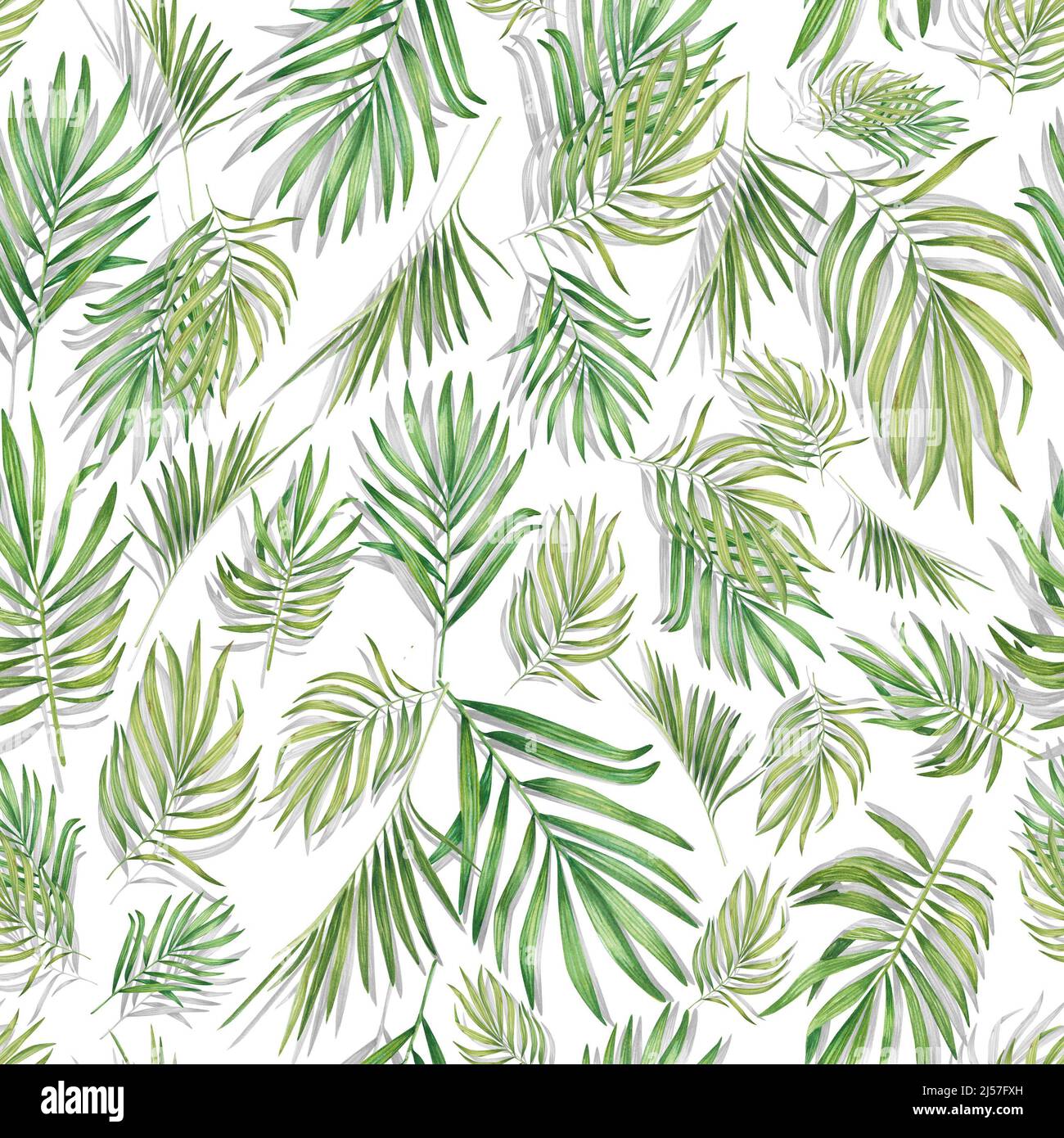Tropical seamless pattern with palm leaves. Watercolor summer print with green plants. Exotic floral illustration is suitable for clothing, textiles, Stock Photo
