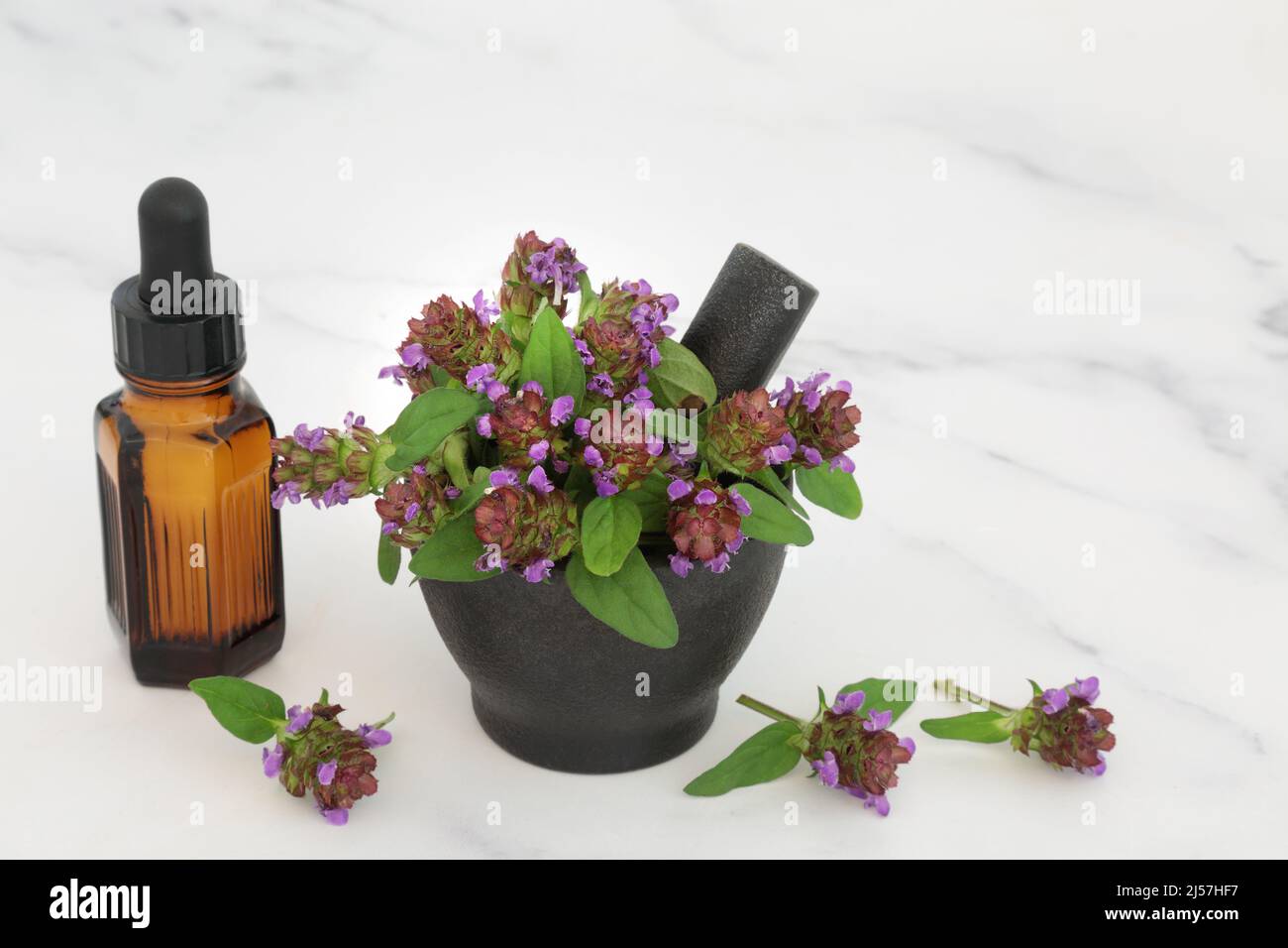 Self heal herb with essential oil bottle. Herbal plant medicine to