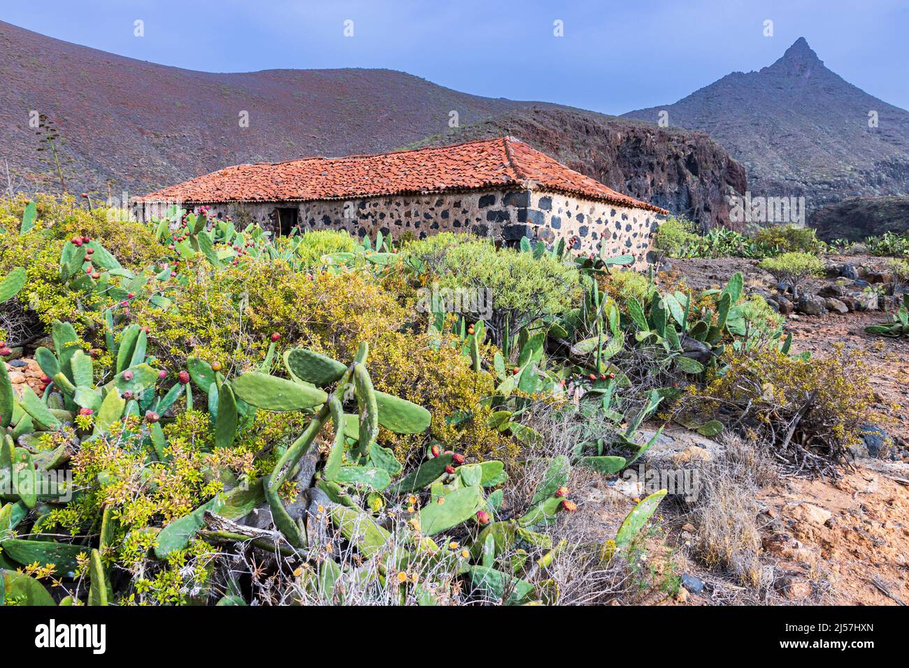 Derelict farm building at the foot of the mountain Conde near Arona in south Tenerife Canary Islands. Stock Photo