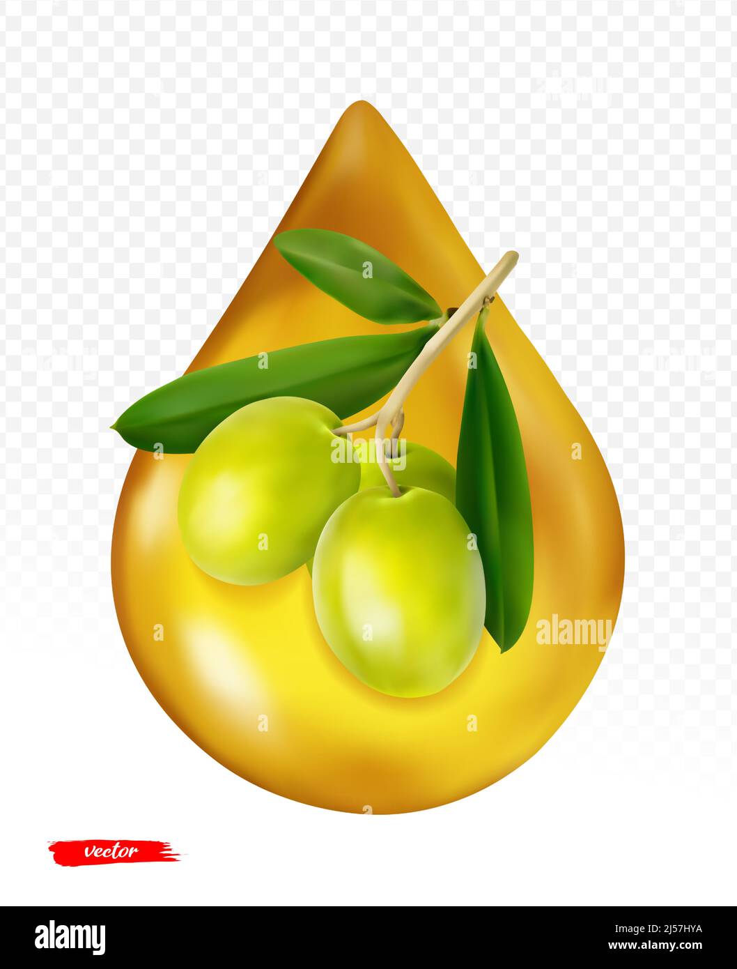 Olive oil drop isolated on transparent background. Realistic vector