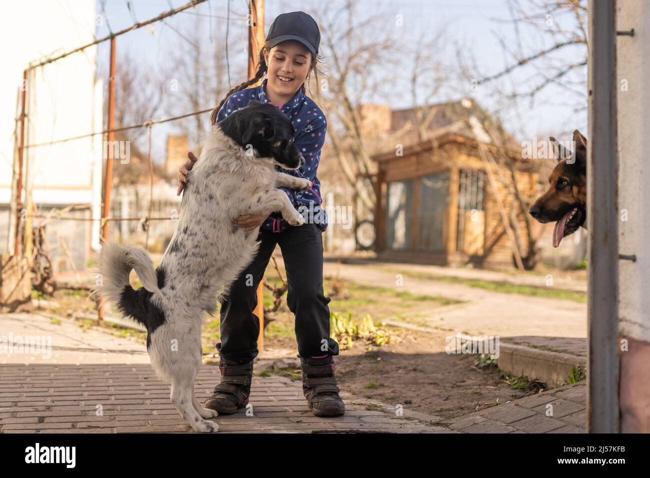 Dog and cheap boy dancing