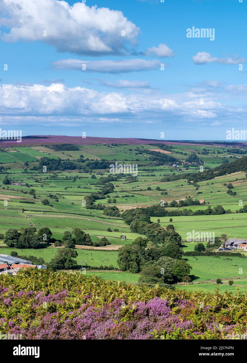 Little Fryup Dale from Danby Rigg Stock Photo