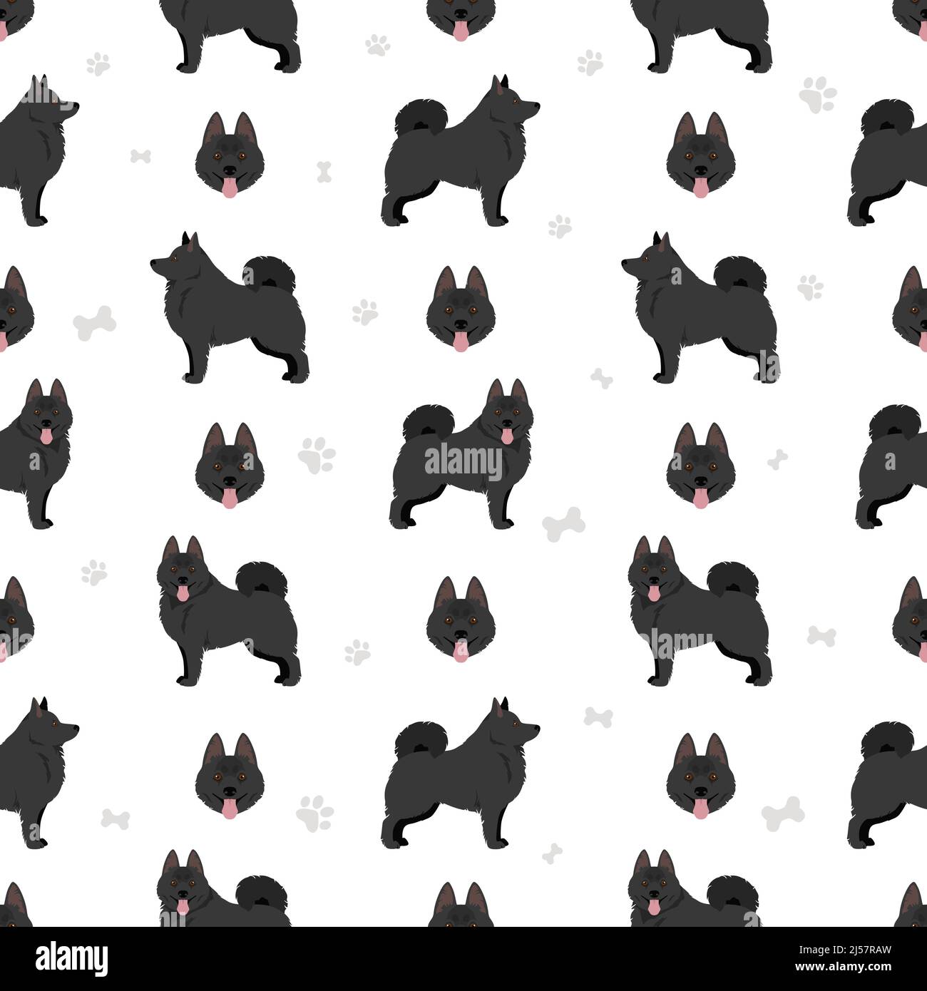 Schipperke seamless pattern. Different poses, coat colors set.  Vector illustration Stock Vector