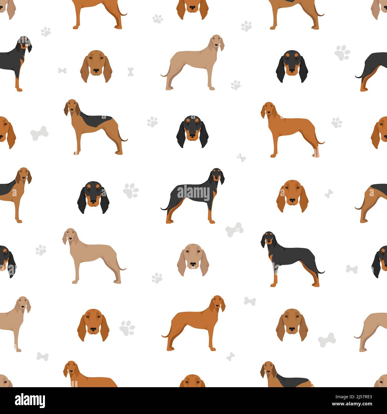 Segugio Italiano short haired seamless pattern. Different poses, coat colors set.  Vector illustration Stock Vector