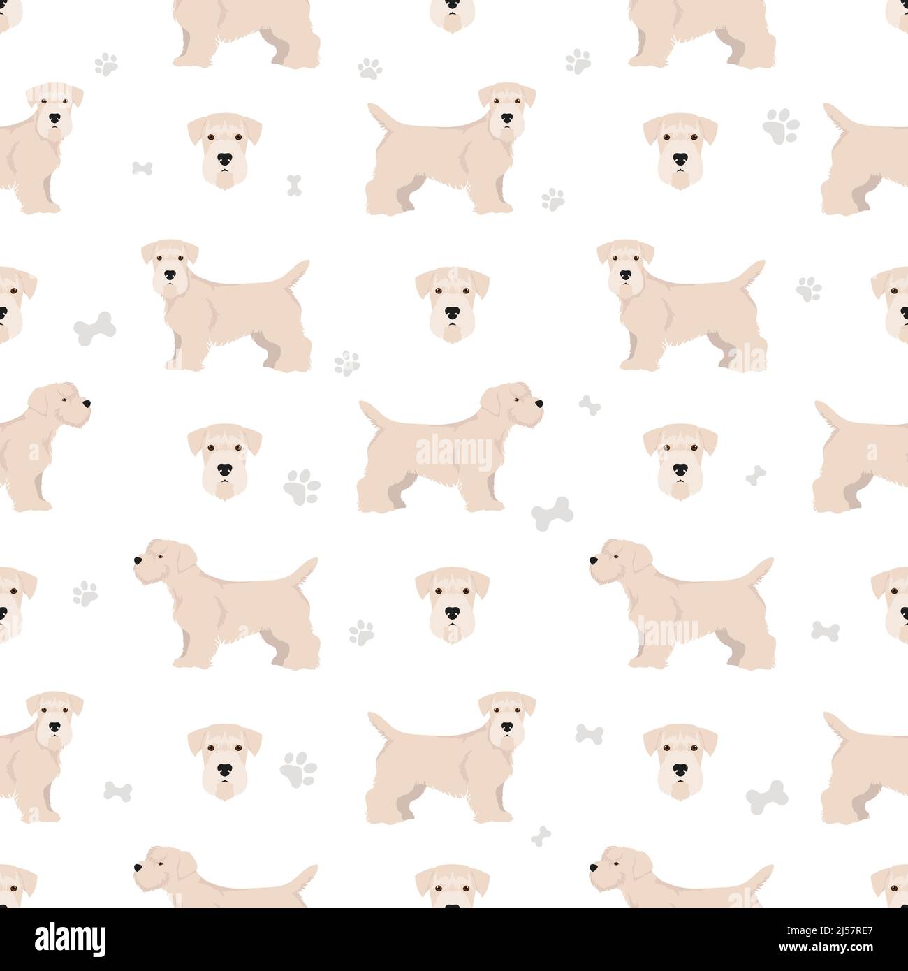 Sealyham terrier seamless pattern. Different poses, coat colors set.  Vector illustration Stock Vector