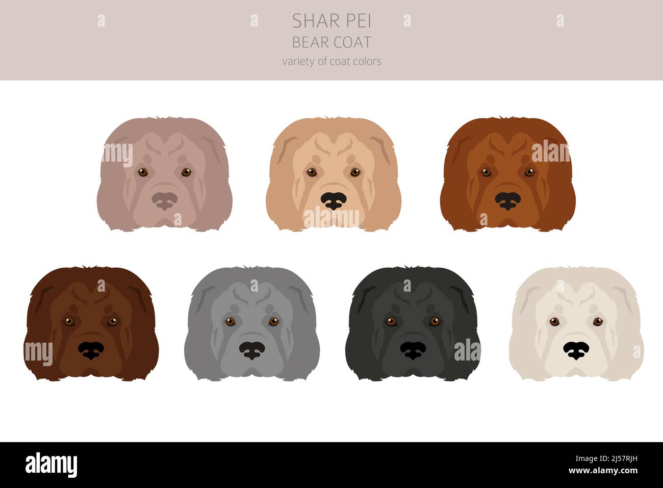 Shar deals pei coat