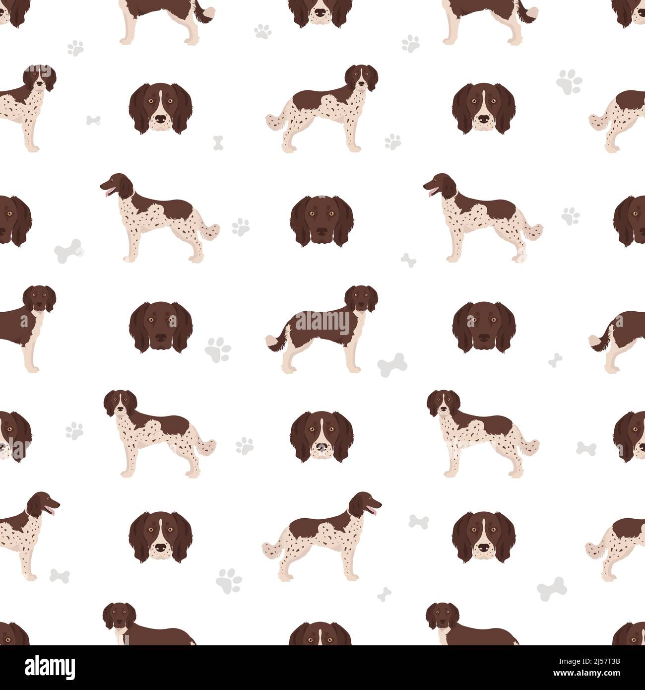 Small Munsterlander coat colors, different poses seamless pattern.  Vector illustration Stock Vector