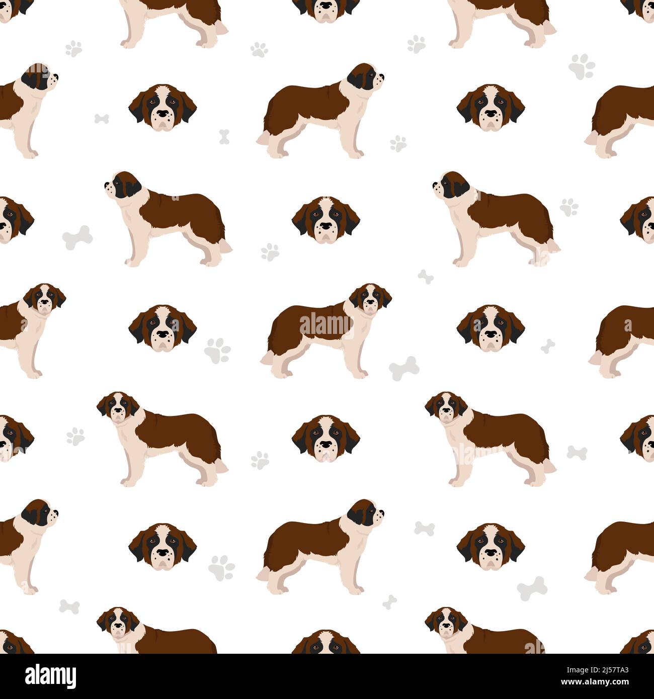 St Bernard longhaired coat colors, different poses seamless pattern ...