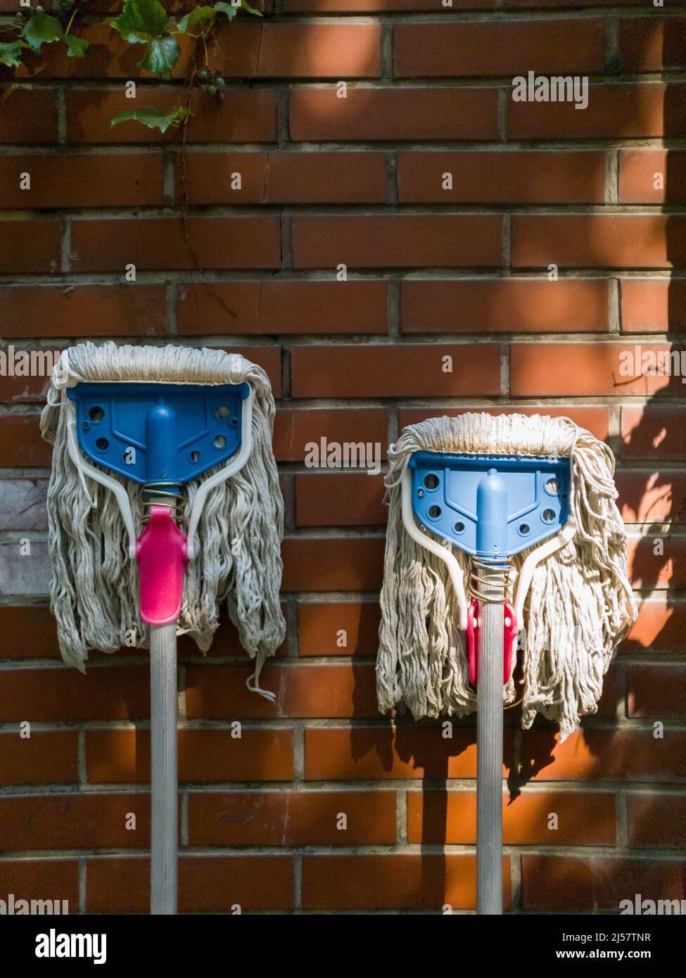 Two dirty floor mops near brick wall Stock Photo Alamy