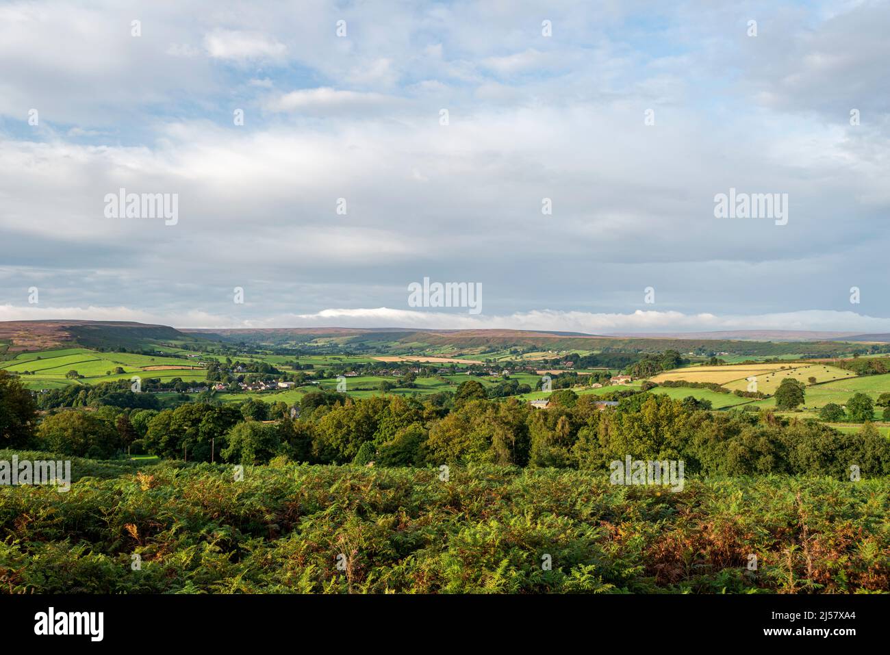 A view looking south from Rosedale Intake towrds Danby and Danby Dale Stock Photo