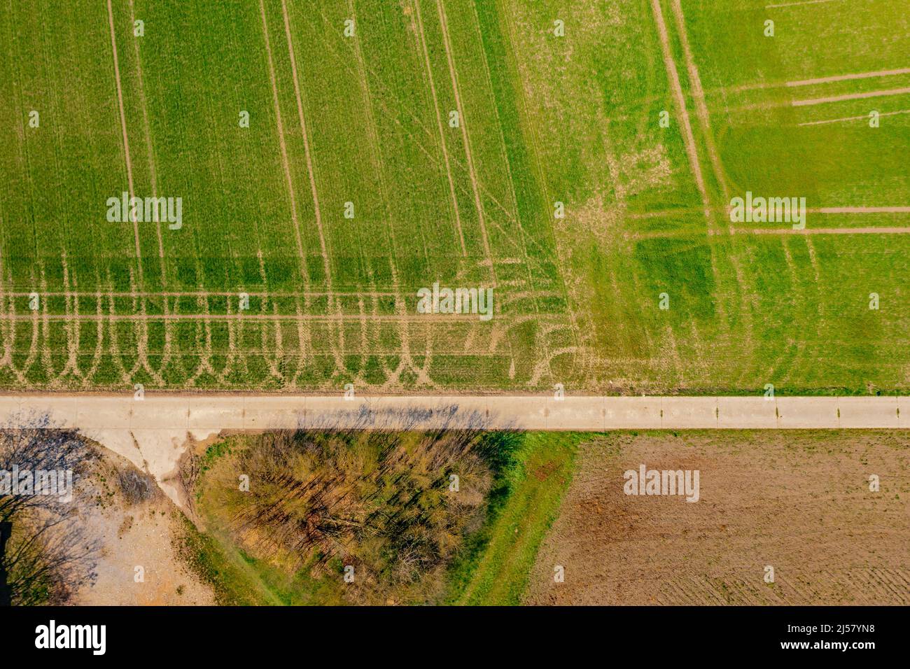 Rural landscape from a drone perspective with a path and tractor tracks ...