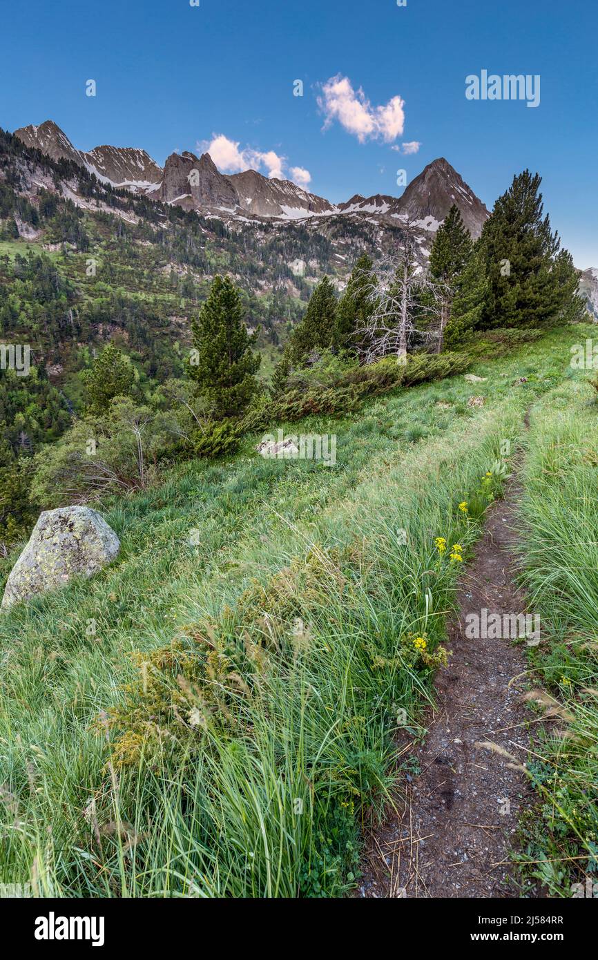 Estos valley, Posets maladeta natural park, spanish pyrenees Stock Photo