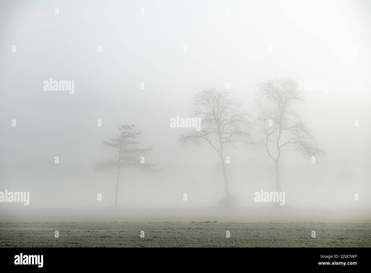 Luften Bei Nebel