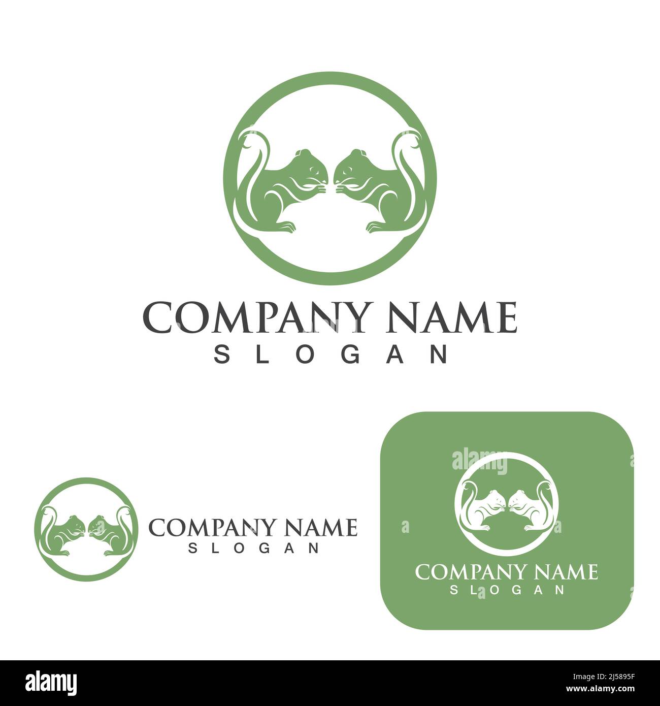 Squirrel  Logo  and Symbol Template vector Stock Vector