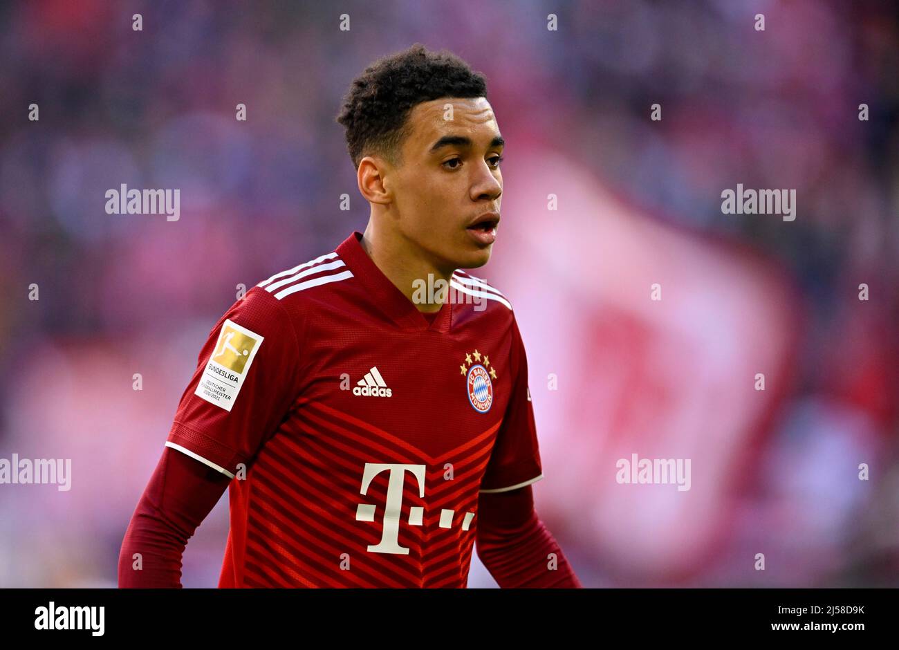 Jamal Musiala FC Bayern Muenchen FCB (42), Allianz Arena, Muenchen, Bayern,  Deutschland Stock Photo - Alamy
