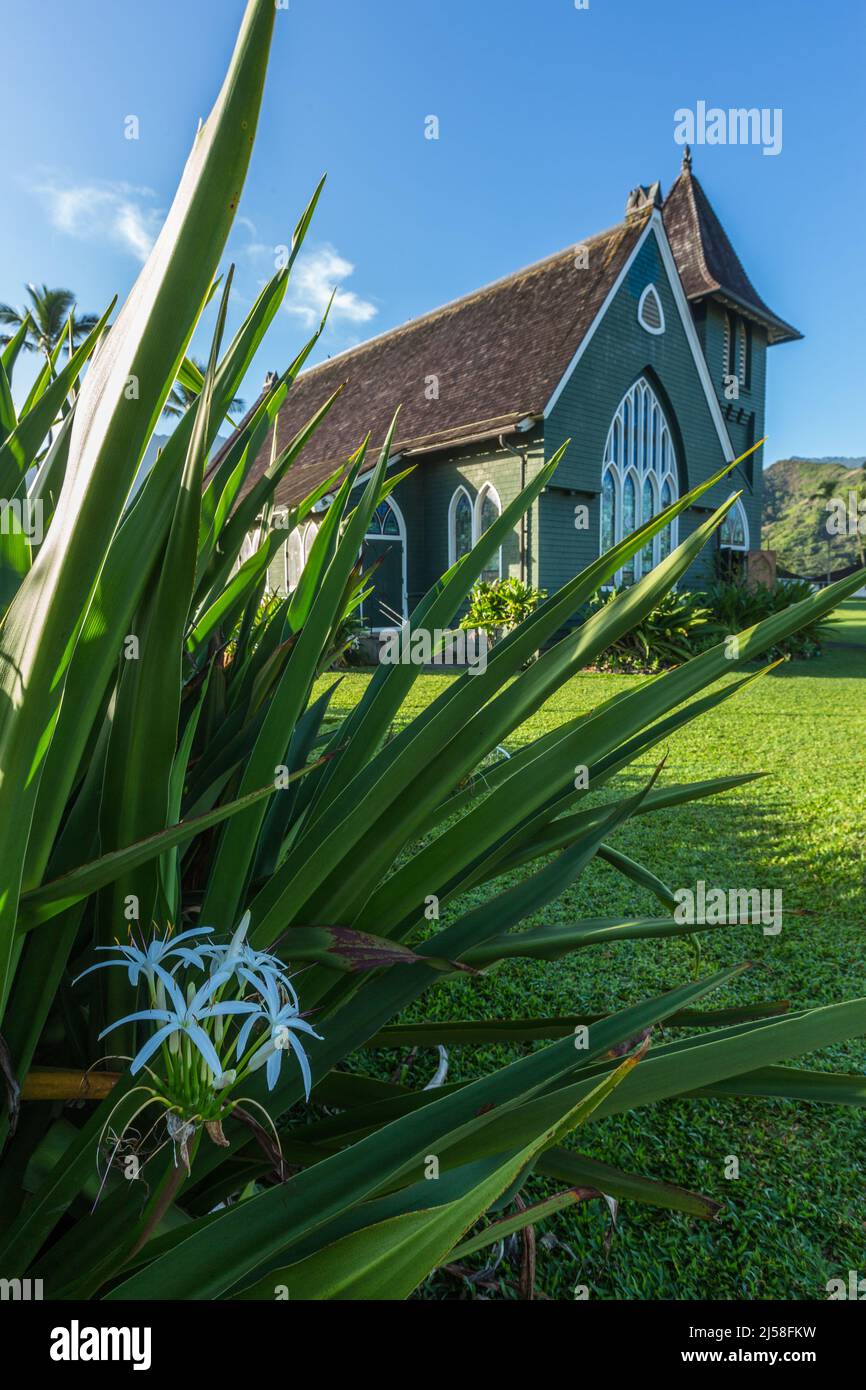 Spider lilies in bloom in front of the historic Wai'oli Hui'ia Church in Hanalei, Kauai, Hawaii,  built in 1912 to replace an earlier building and is Stock Photo