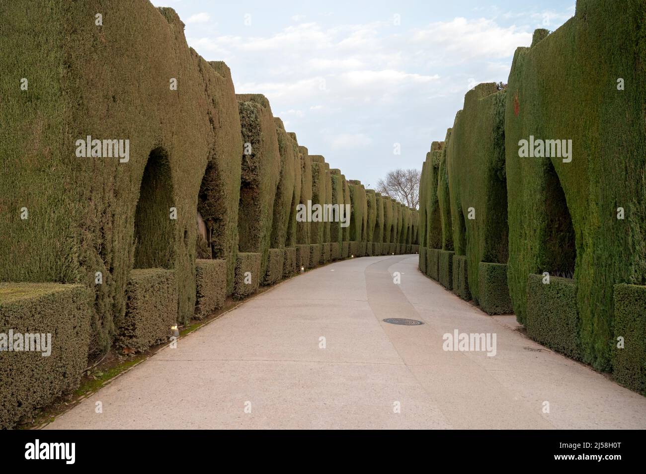Mediterranean garden design with arches made from trimmed thuja coniferus trees Stock Photo