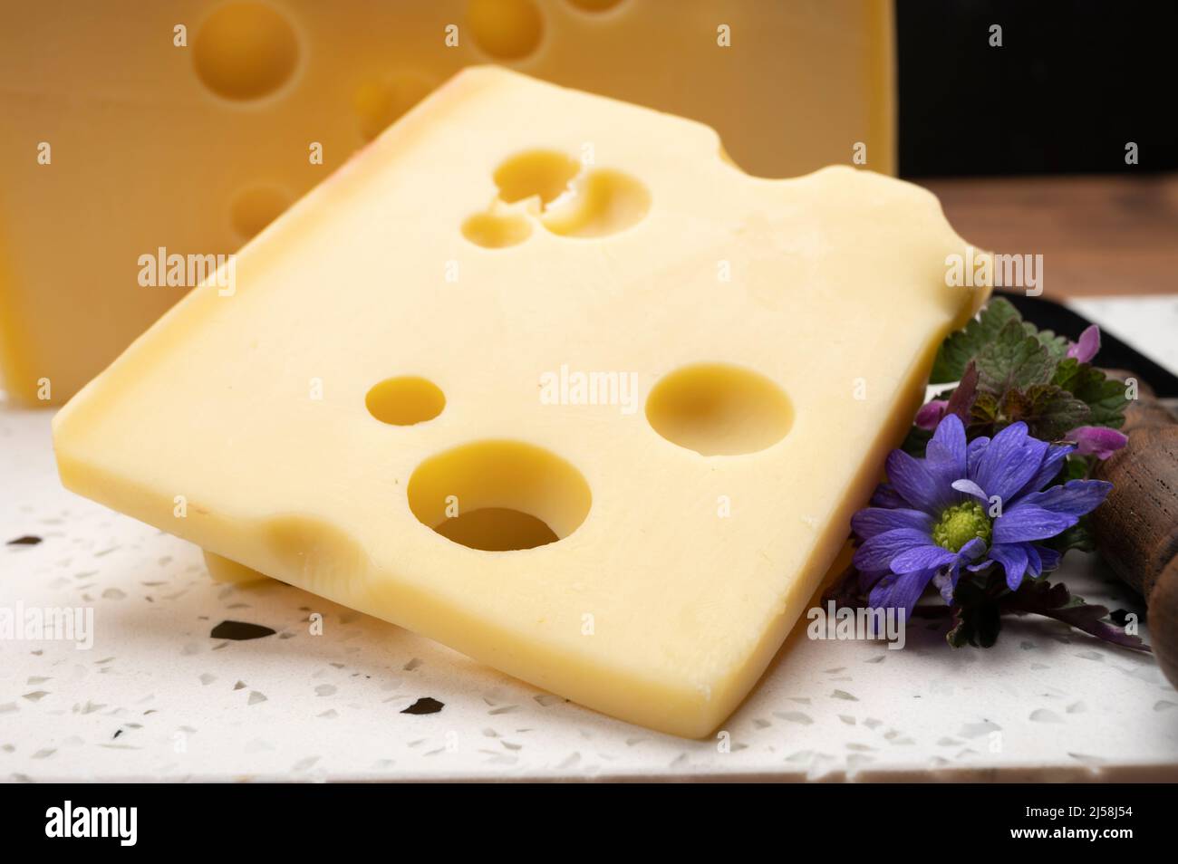 Swiss cheese collection, yellow emmentaler or emmental cheese with