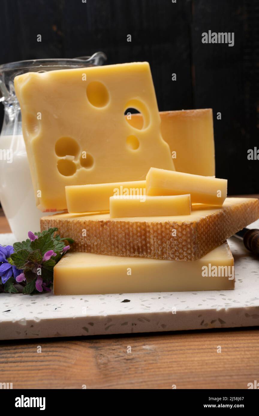 Swiss cheese collection, holes emmentaler and gruyere cheese made from unpasteurized cow