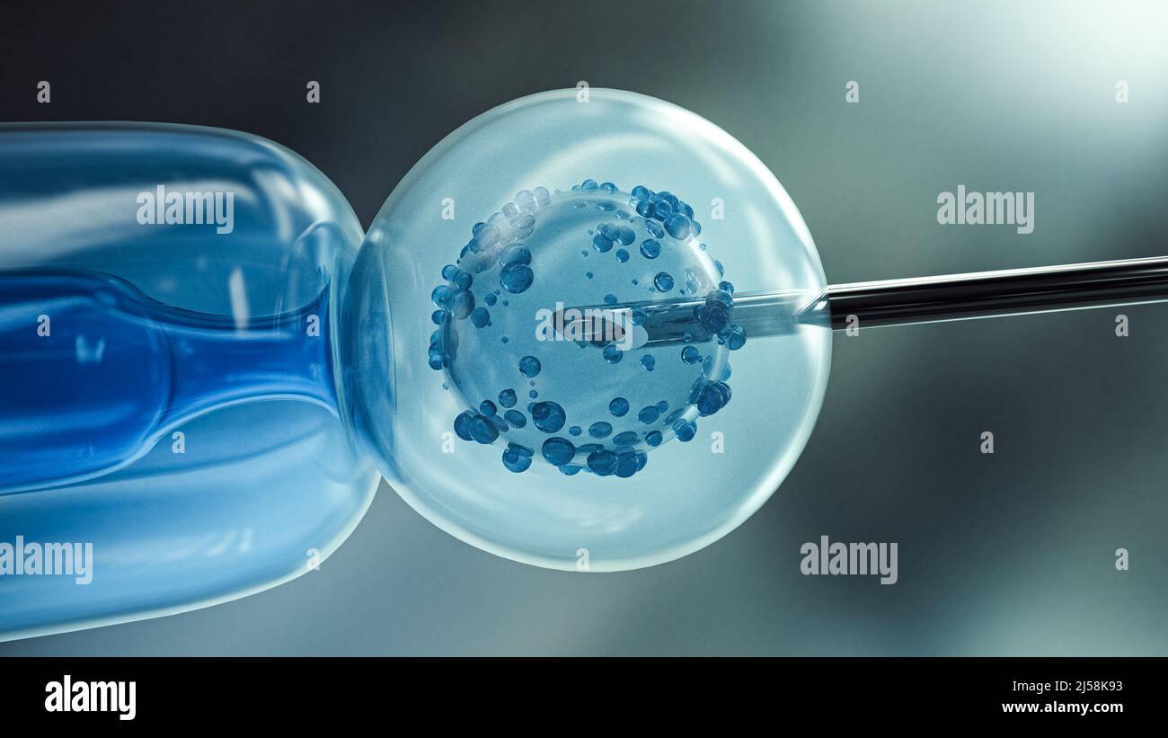 Ovum with needle for artificial insemination or in vitro fertilization. 3D Rendering Stock Photo