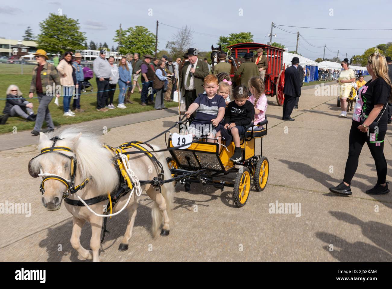 London Harness Horse Parade, South of England Centre, Ardingly West