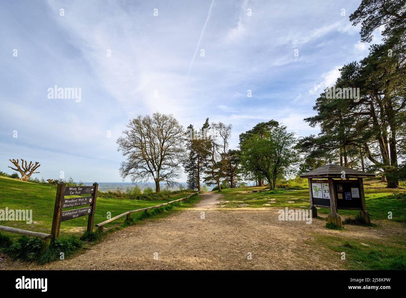 Leith Hill, Surrey, UK Footpath of the Greensand Way at the summit of Leith Hill. Part of the