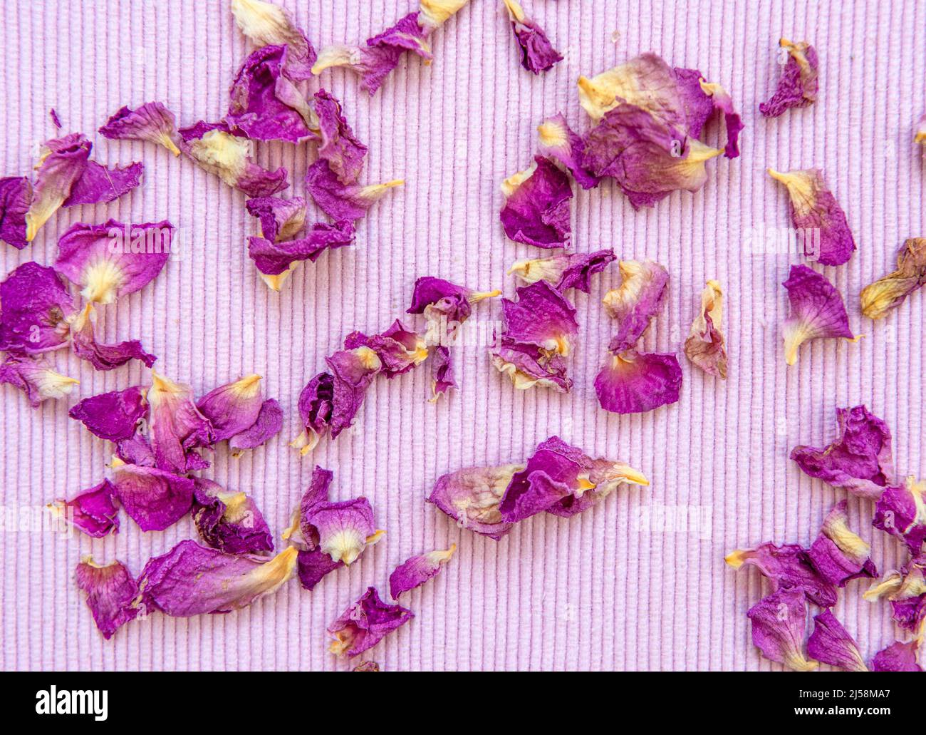 Dried Organic Rose Petals on pink background Stock Photo