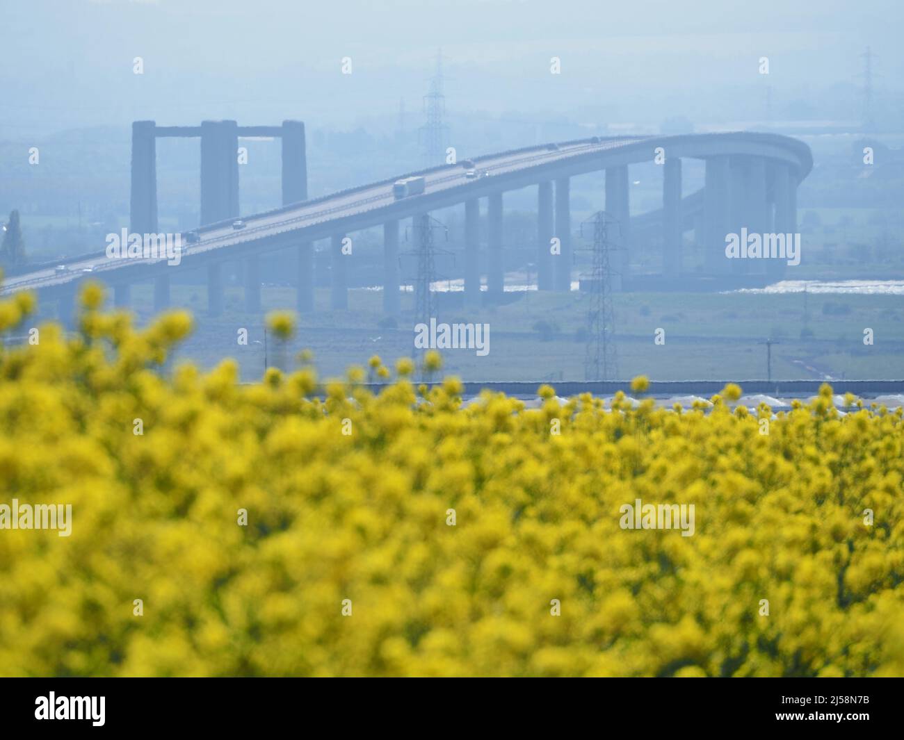 Sheerness, Kent, UK. 21st Apr, 2022. UK Weather: a sunny afternoon in Halfway, Sheerness, Kent. View towards the Sheppey Crossing with rapeseed fields in bloom. Credit: James Bell/Alamy Live News Stock Photo