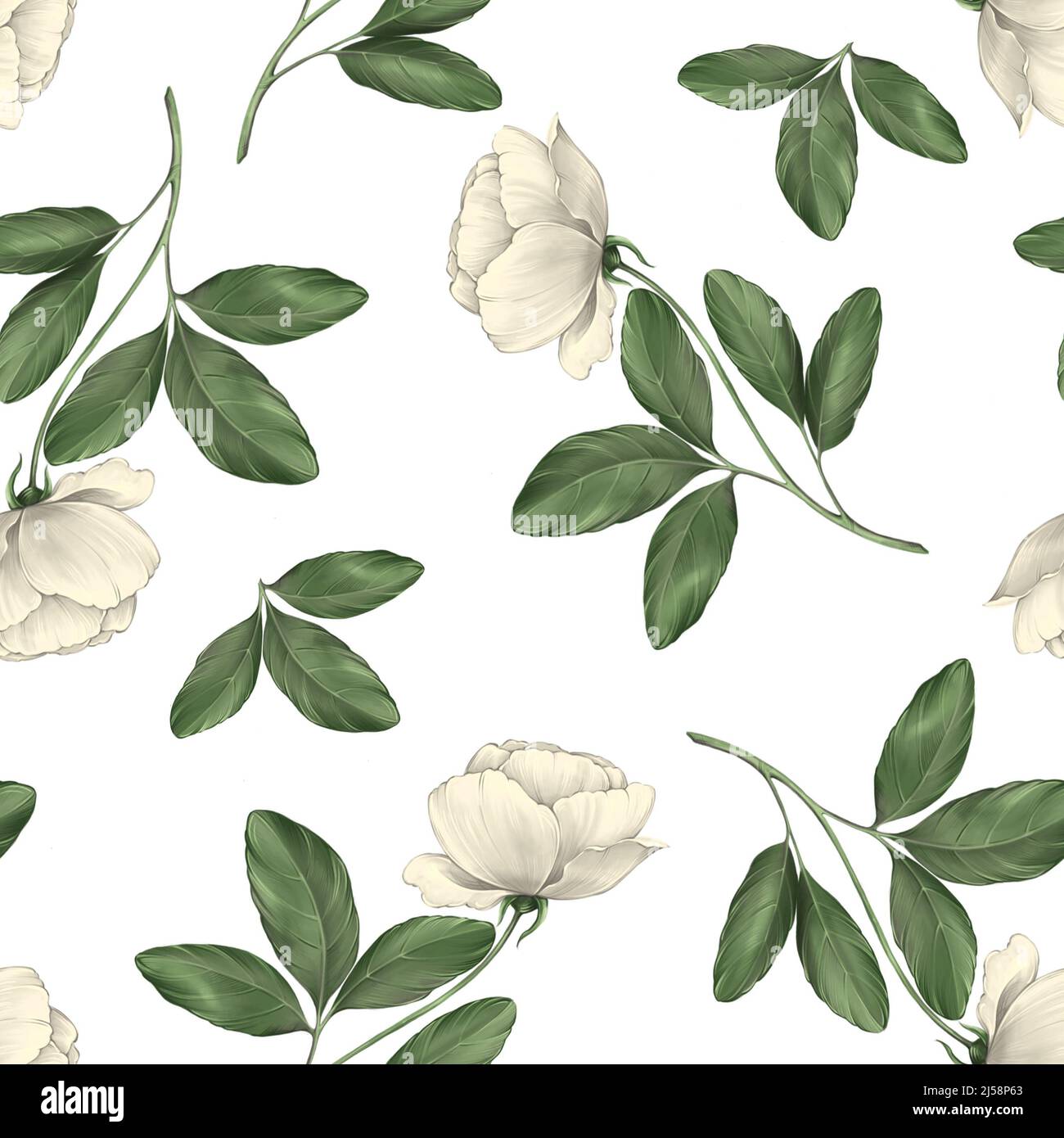 Floral seamless pattern with white roses and leaves Stock Photo - Alamy