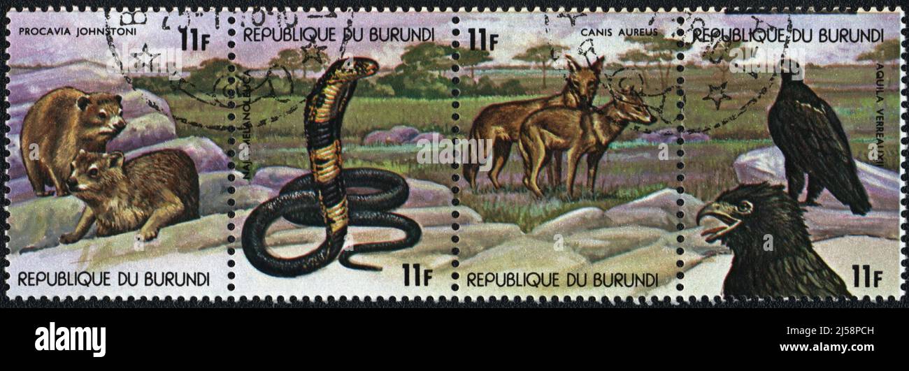 A Stamp printed in the Republic of Burundi shows Group of animals among the stones in  Central Africa, 1978 Stock Photo