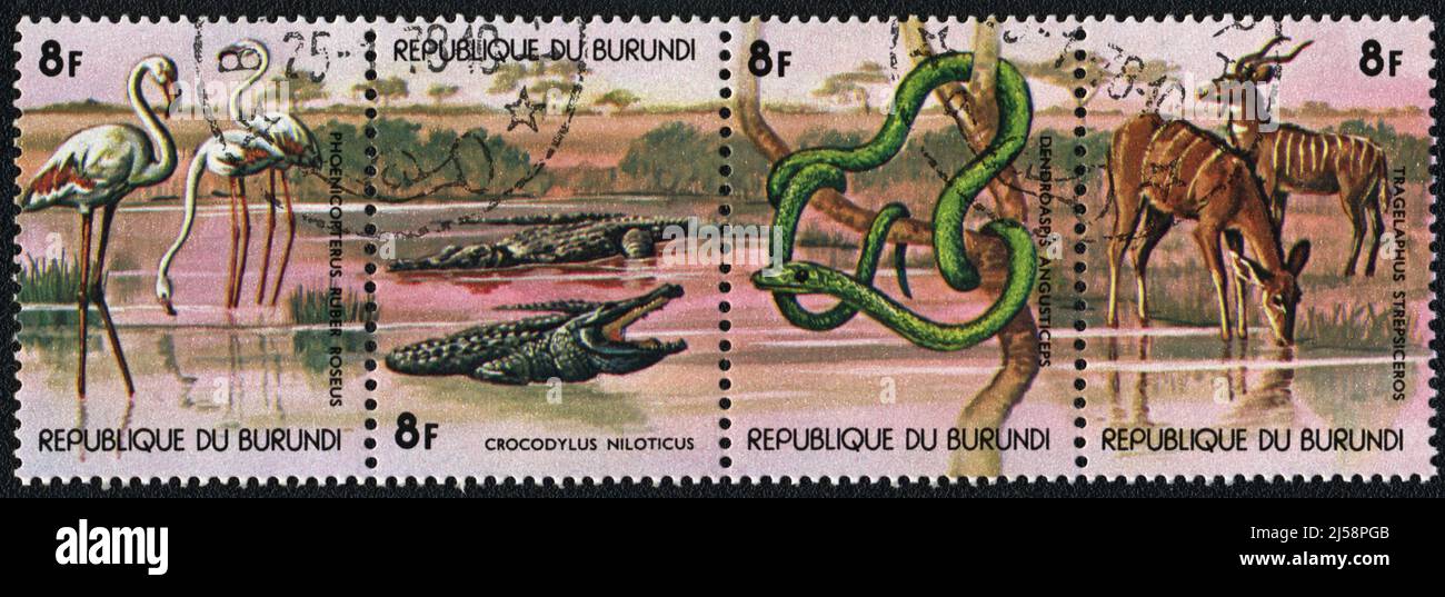 A stamp printed in the Republic of Burundi shows Animals nearly water in Central Africa, 1978 Stock Photo