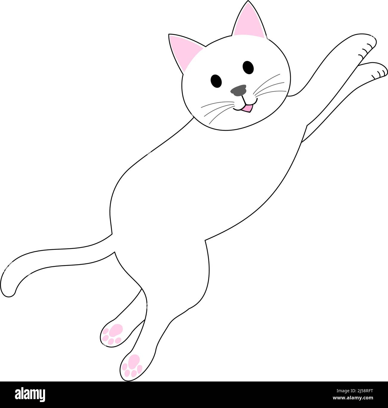 jumping white cat with white background Stock Photo