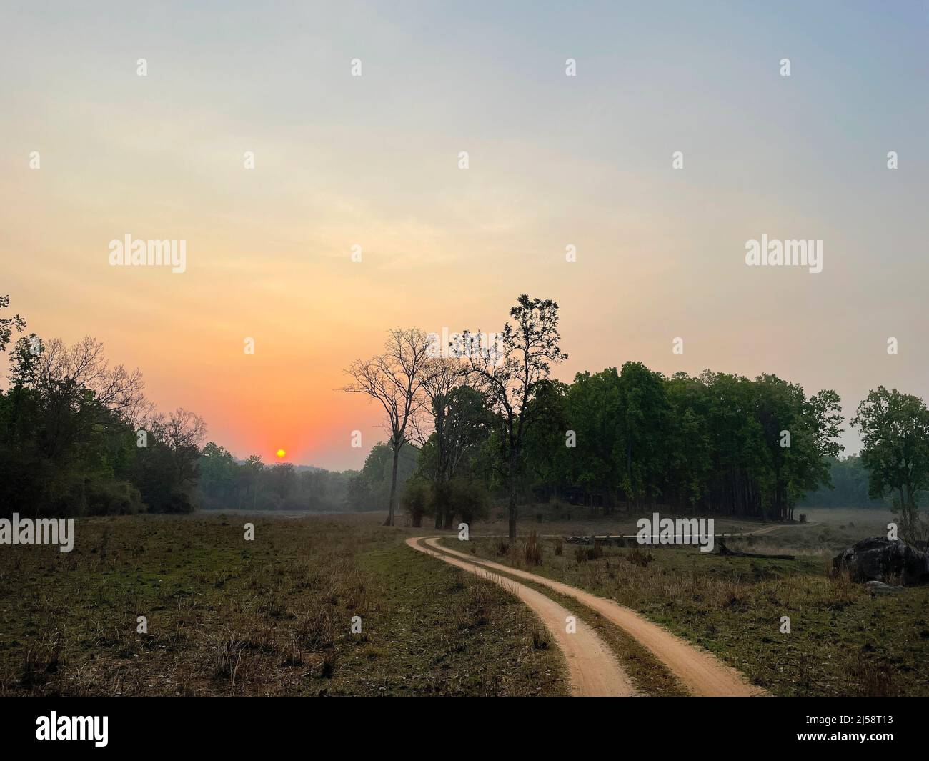 Kanha National Park ( Tiger Reserve ) landscape , located in Madhya