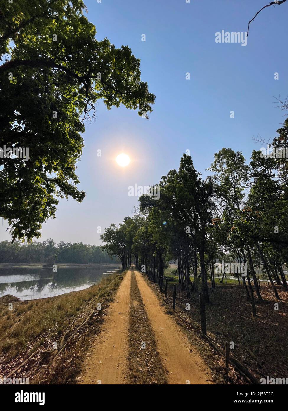 Kanha National Park ( Tiger Reserve ) landscape , located in Madhya